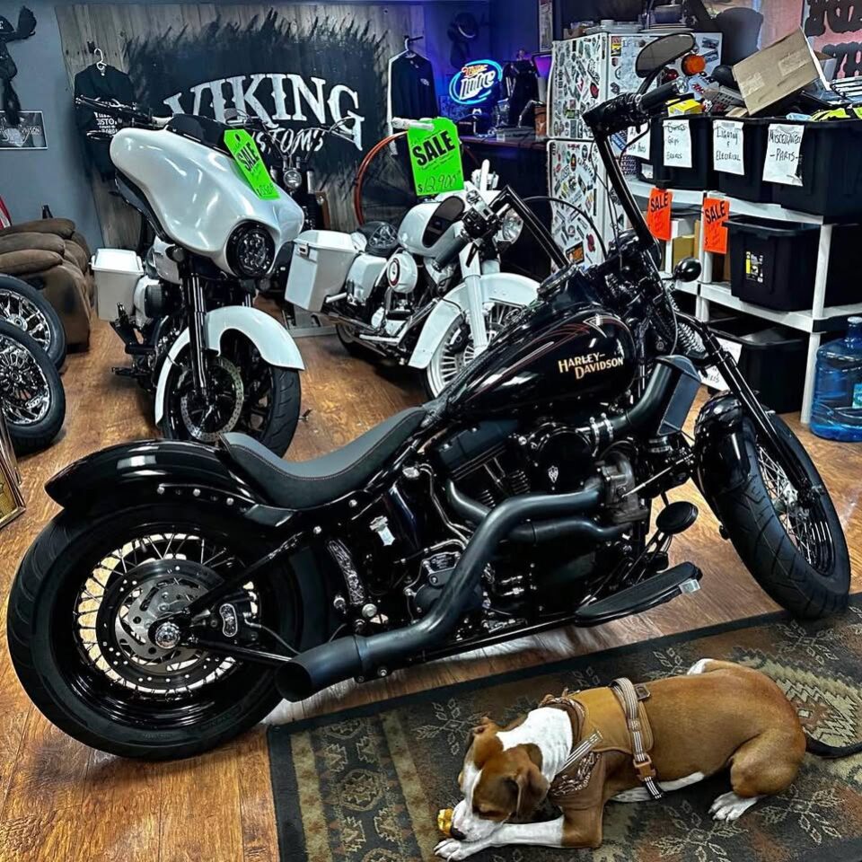 2008 Harley-Davidson Softail for sale in motorcycle shop showroom floor